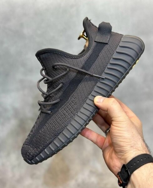 Yeezy boots 350