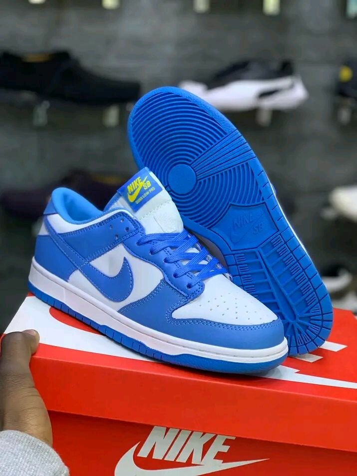 SB dunk sneaker