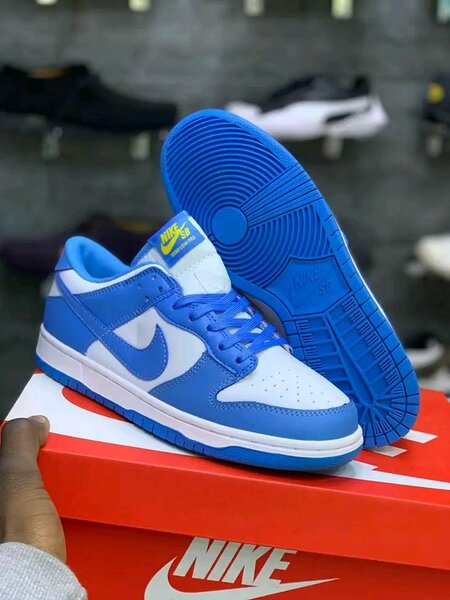 SB dunk sneaker