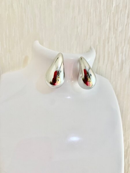 Fashion earrings