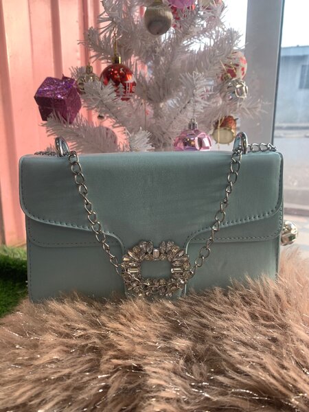 Ladies bags