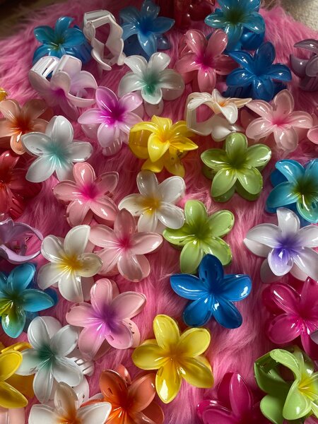 BEAUTIFUL HAIR CLIPS