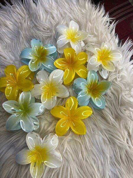 Barrette en fleurs