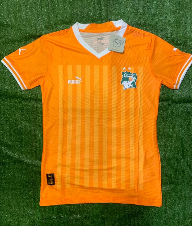 Maillot version Pro