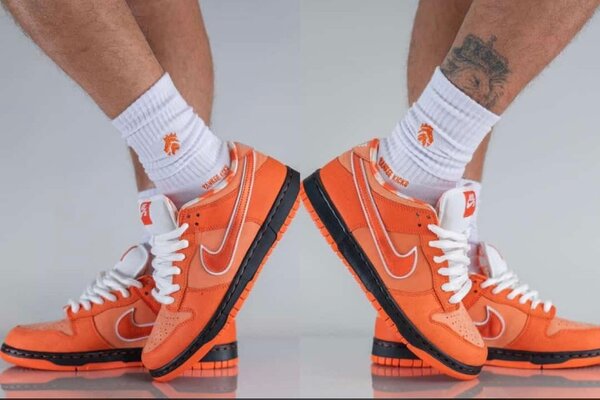 Nike SB sneakers
