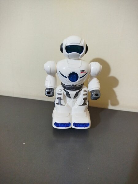 Robot