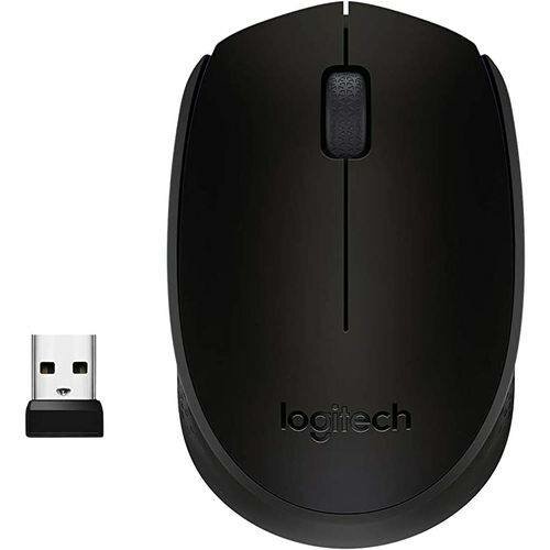Souris sans Fil M171