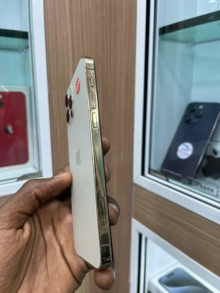 iPhone 12 Pro