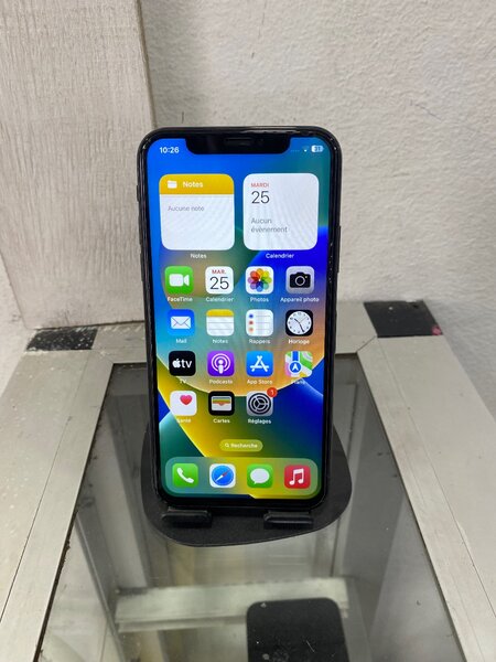 iPhone X