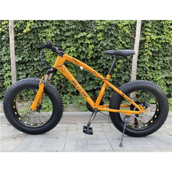 VTT Fat Bike pour Aventure
