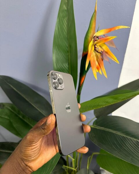 Iphone 12pro  Max