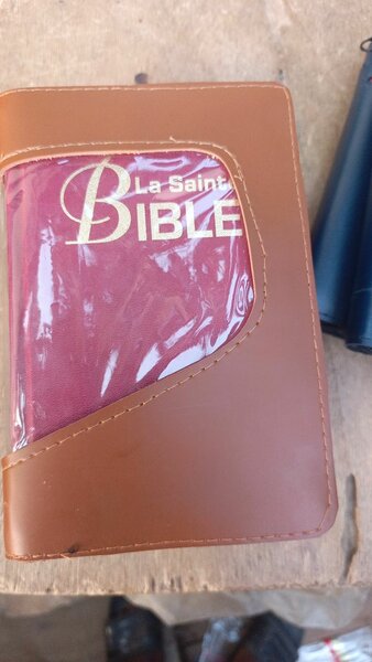 Bible Luis Segond
