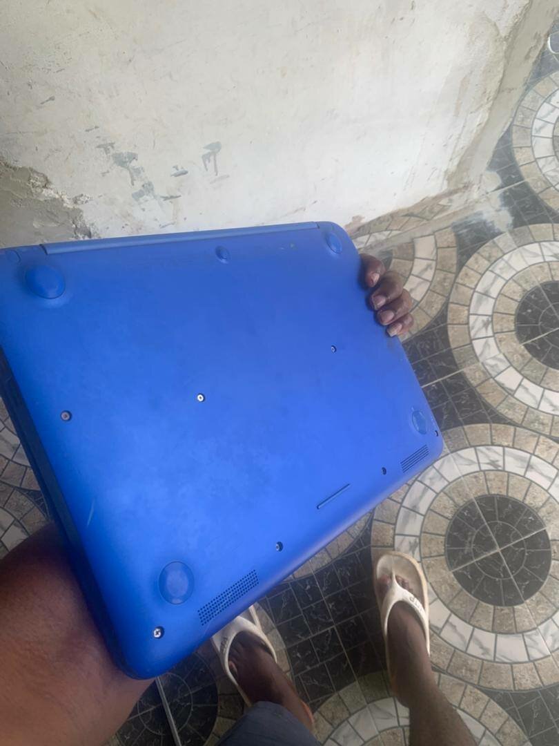 HP steam laptop