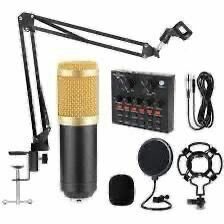 Professional microphone