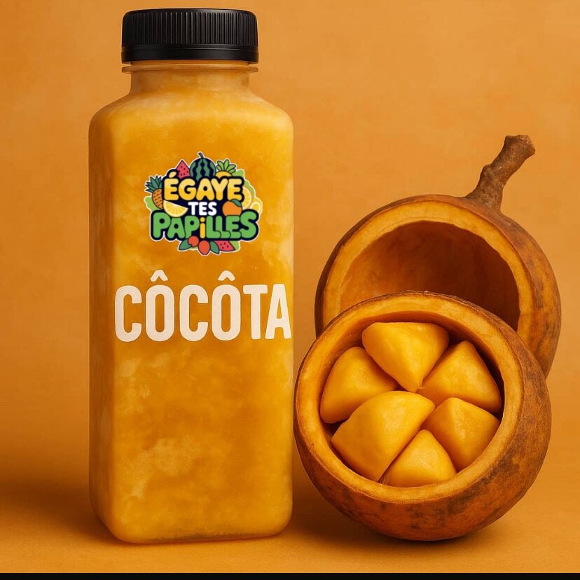 Côcôta