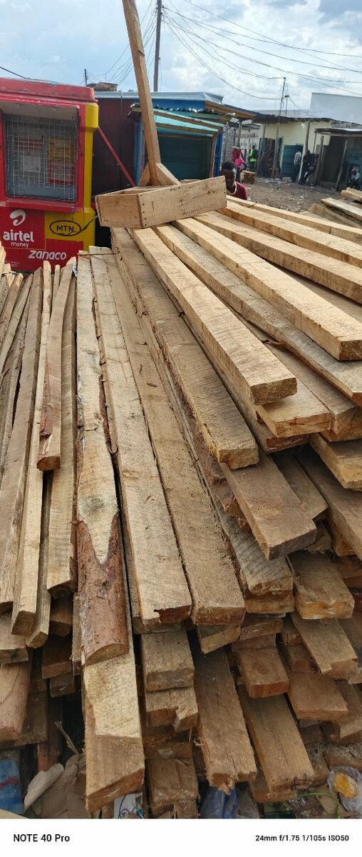 Timber