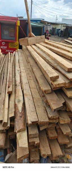 Timber
