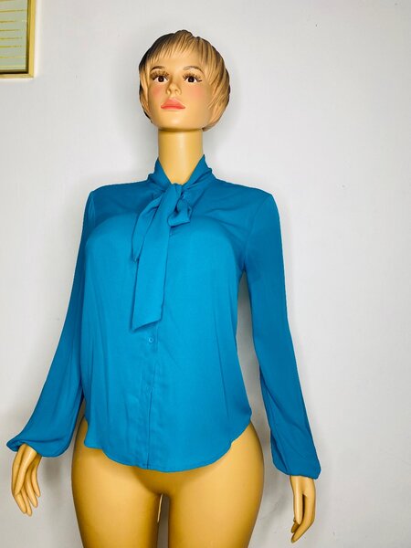 Ladies top