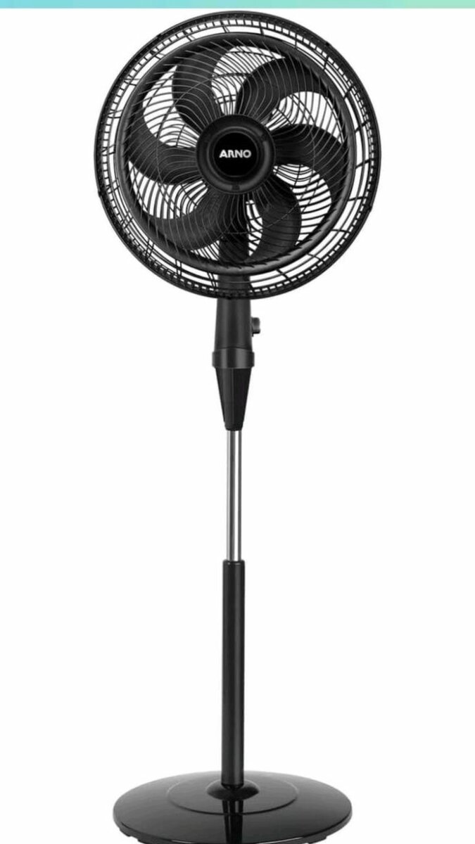 Fan