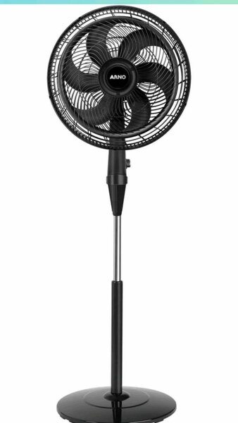 Fan