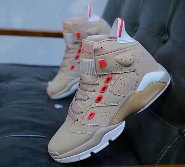 AIR JORDAN 6