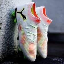 Puma futur