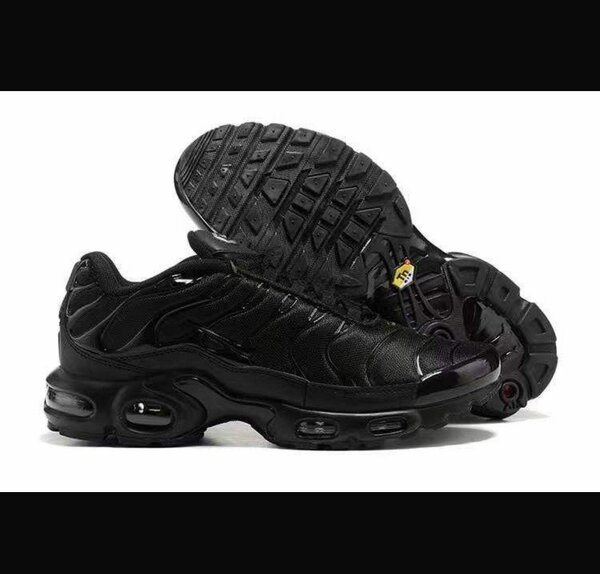 Nike air Max TN noir