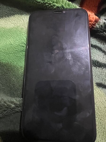 iPhone X
