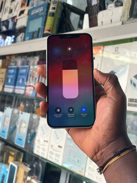 iPhone 12 Pro Max