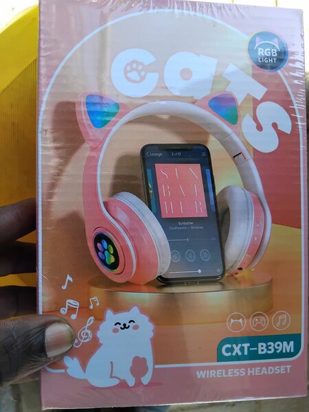 Quality cat music box