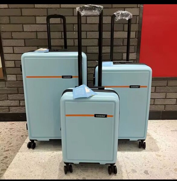 valise