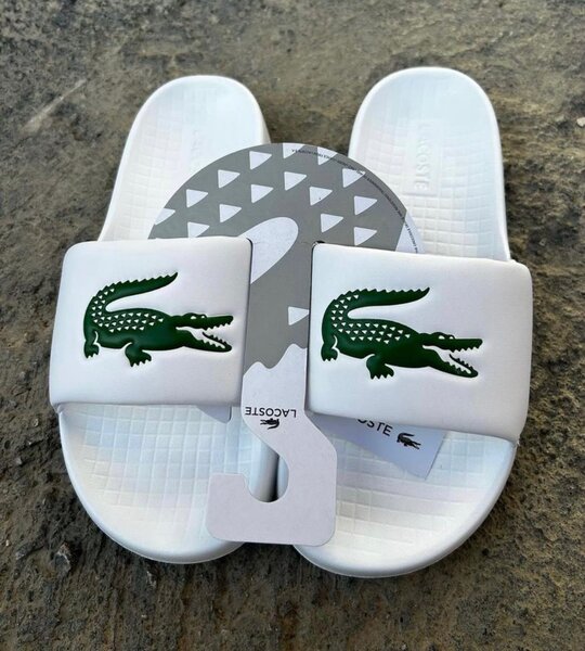 Lacoste homme