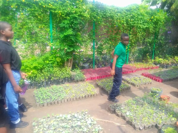 Garden Solutions 