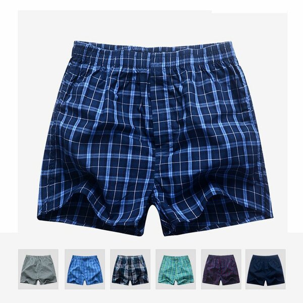 Boxer
