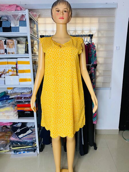 Ladies dress