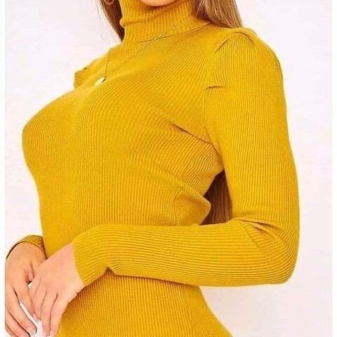 PULL COL ROULE DAME