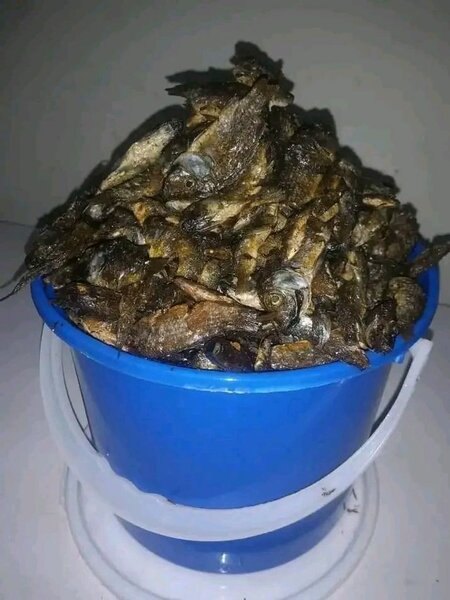 Seafoods