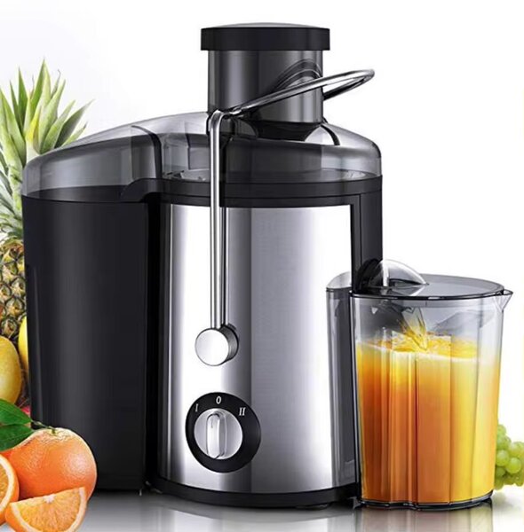 Extracteur de Jus Puissant