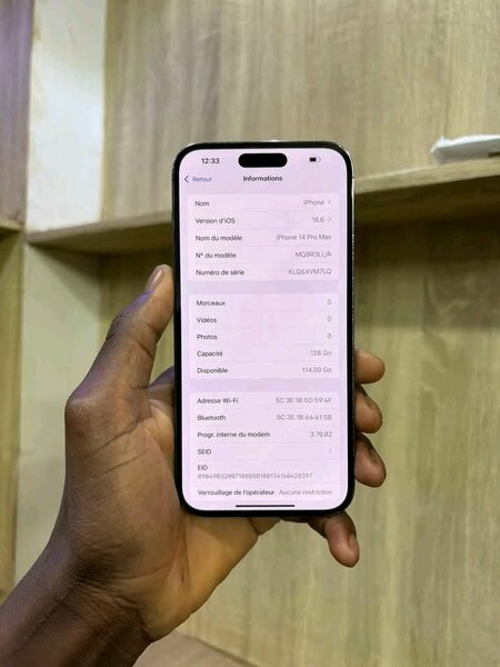 iPhone 14 Pro Max 256 Go