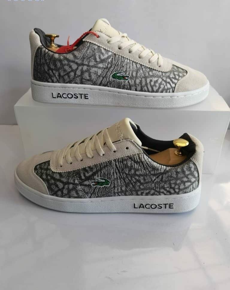 chaussure Lacoste blanc gris