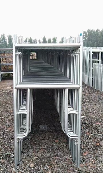 Scaffold