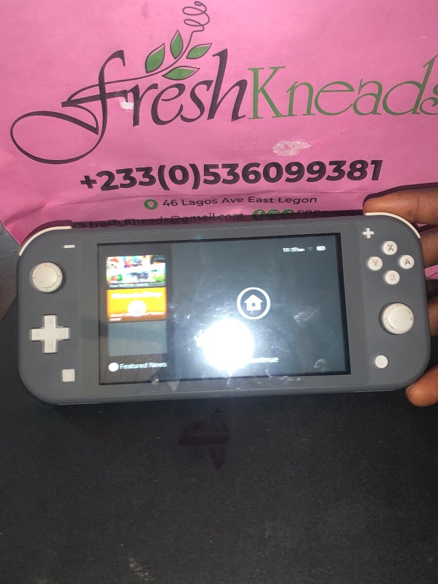 Nintendo switch lite