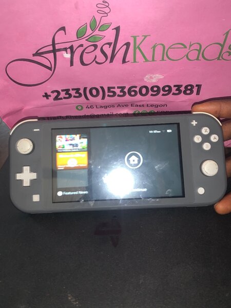 Nintendo switch lite