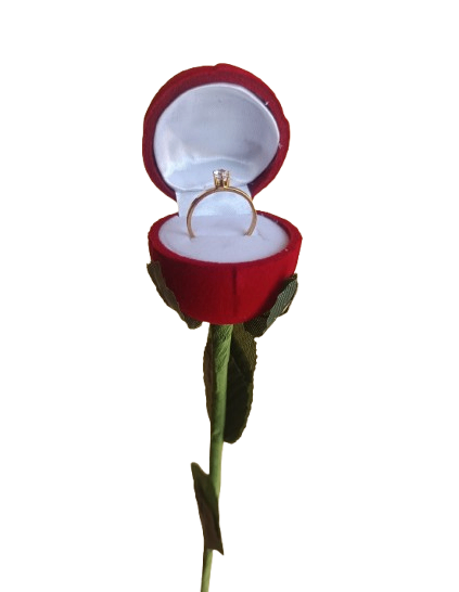 Bague de fiançailles ajustable