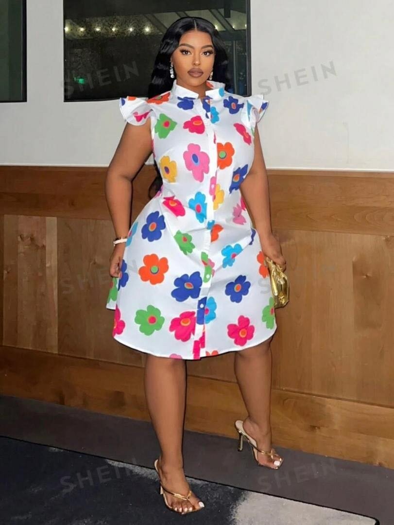 Ladies dress