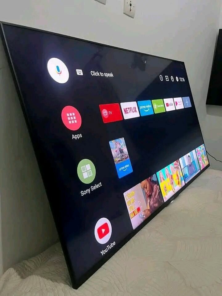 TV Sony 55 pousse