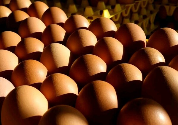 Eggs