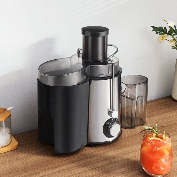 Electric Juicer