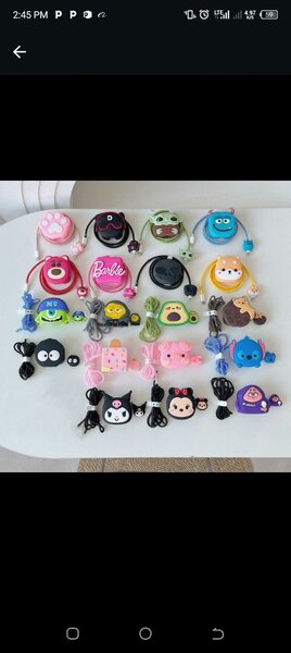 Charger case