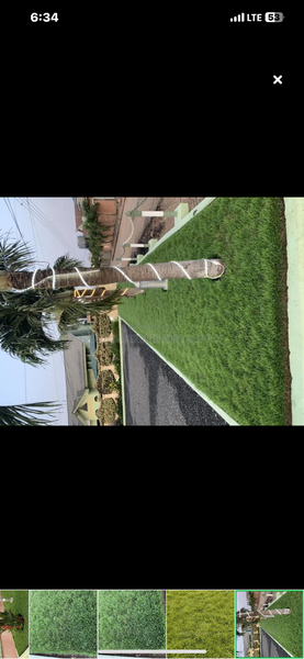 Carpet green grass